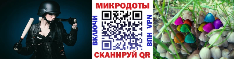 Псилоцибиновые грибы мицелий  закладка  гидра вход  Сатка 